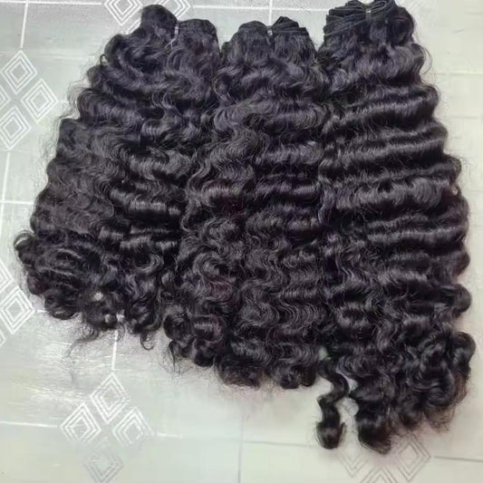 Burmese Curly